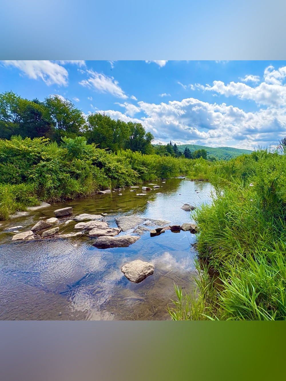 Verdant Riverbank Photography Print - Green Landscape Wall Art